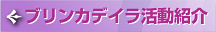 ブリンカデイラ活動紹介