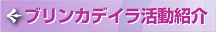 ブリンカデイラ活動紹介